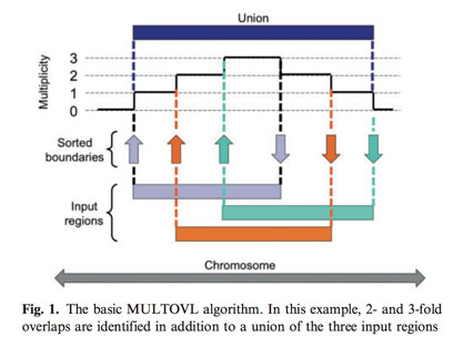 MULTOVL algorithm